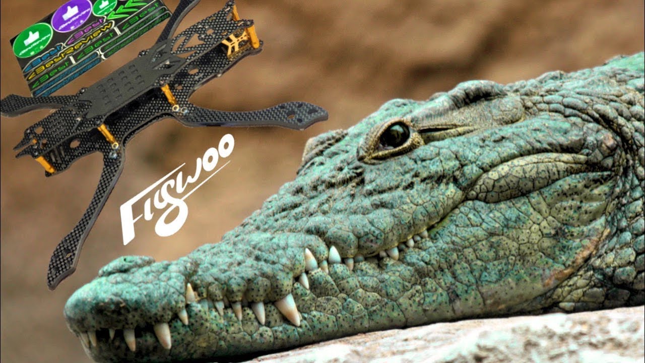 ✔ Новые FPV Freestyle Рамы FLYWOO Mr.Croc 225mm 5 Inch + FLYWOO Mr.Croc-SL!