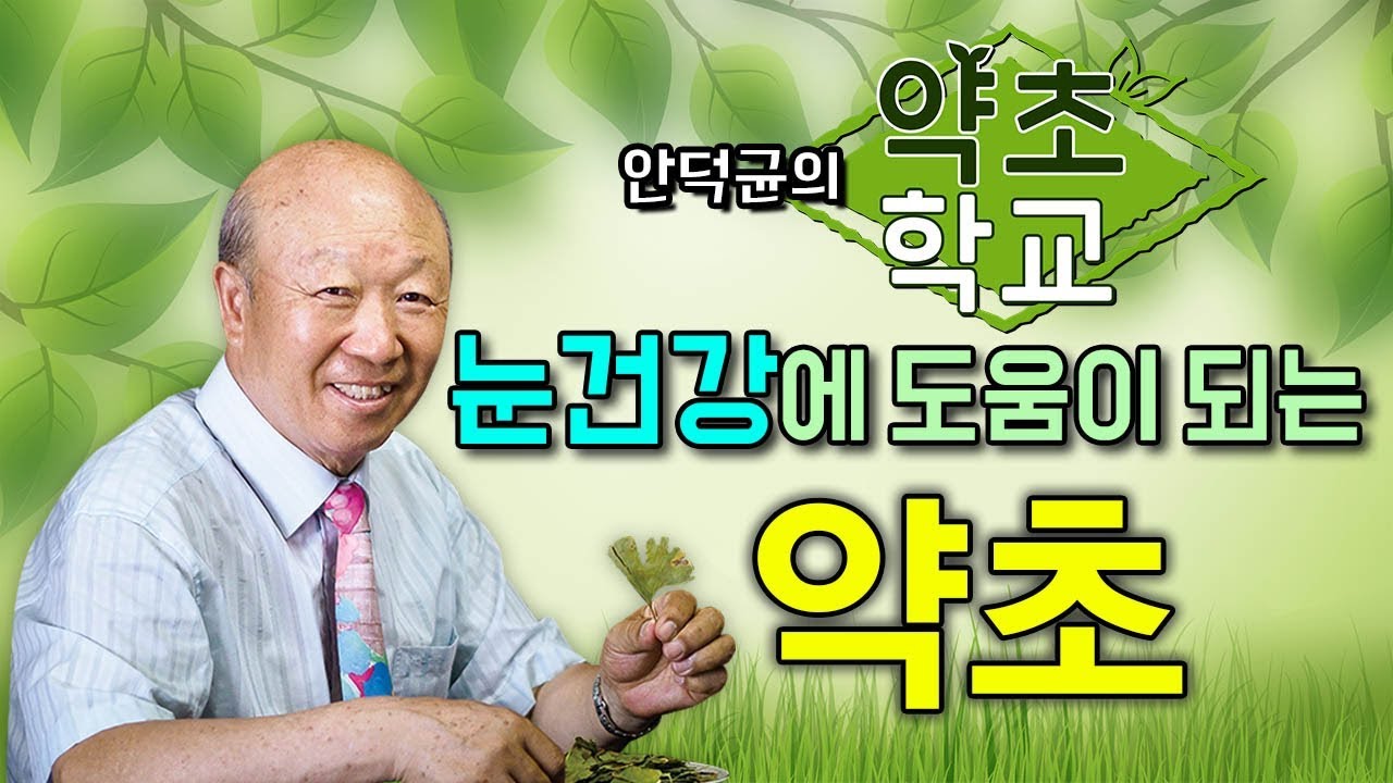 눈 건강에 도움이 되는 약초 [안덕균의 약초학교 EP.12]