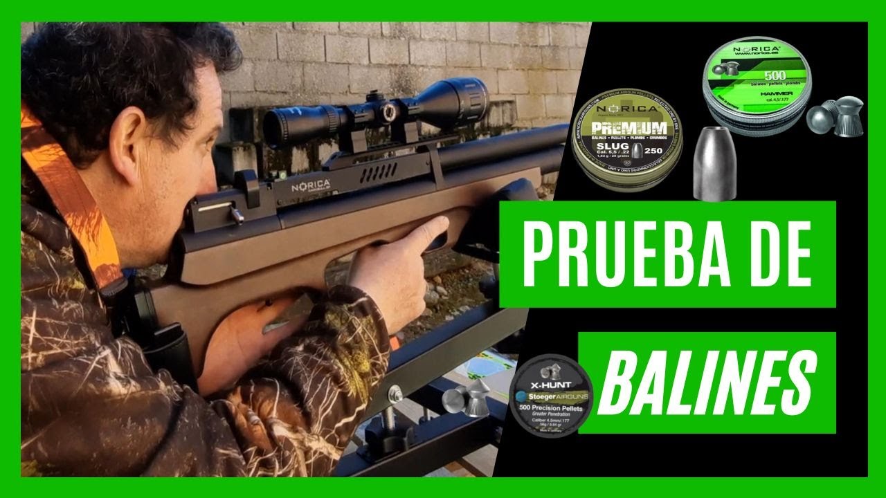 Prueba de BALINES Con CARABINA PCP NORICA DARK BULL BP