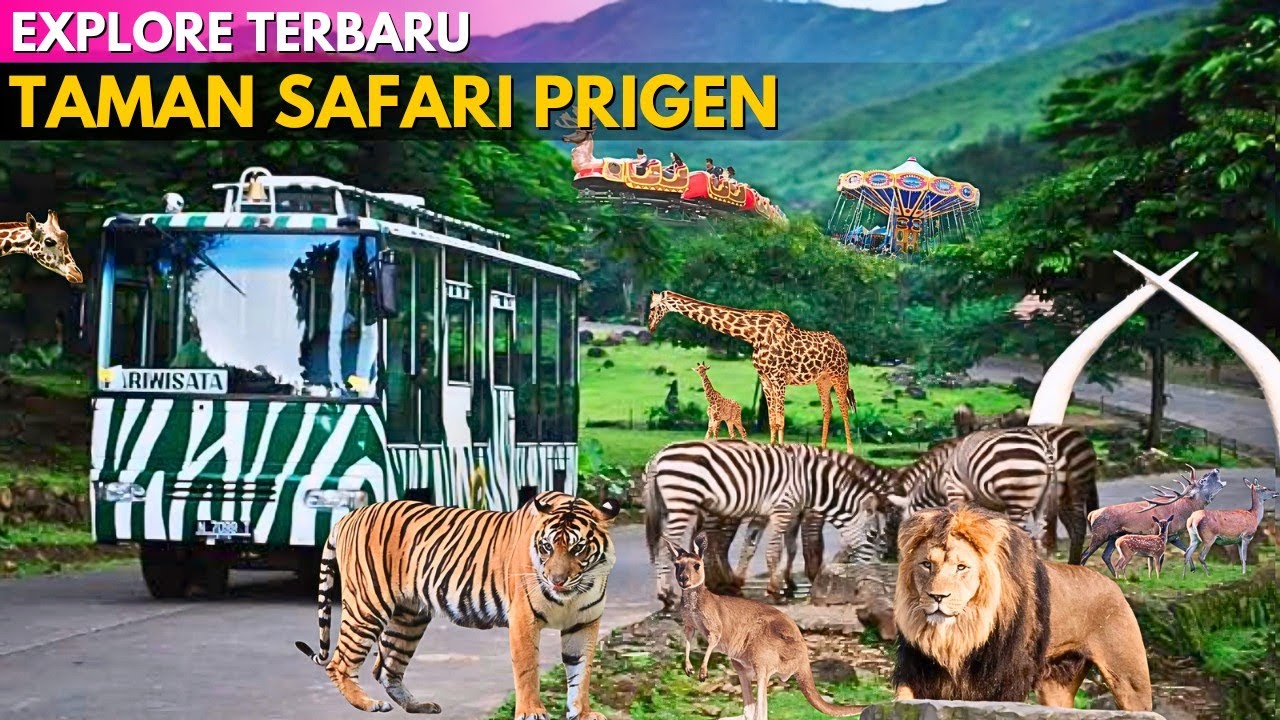 TAMAN SAFARI PRIGEN Terbaru ‼ Semakin Keren dan Seru