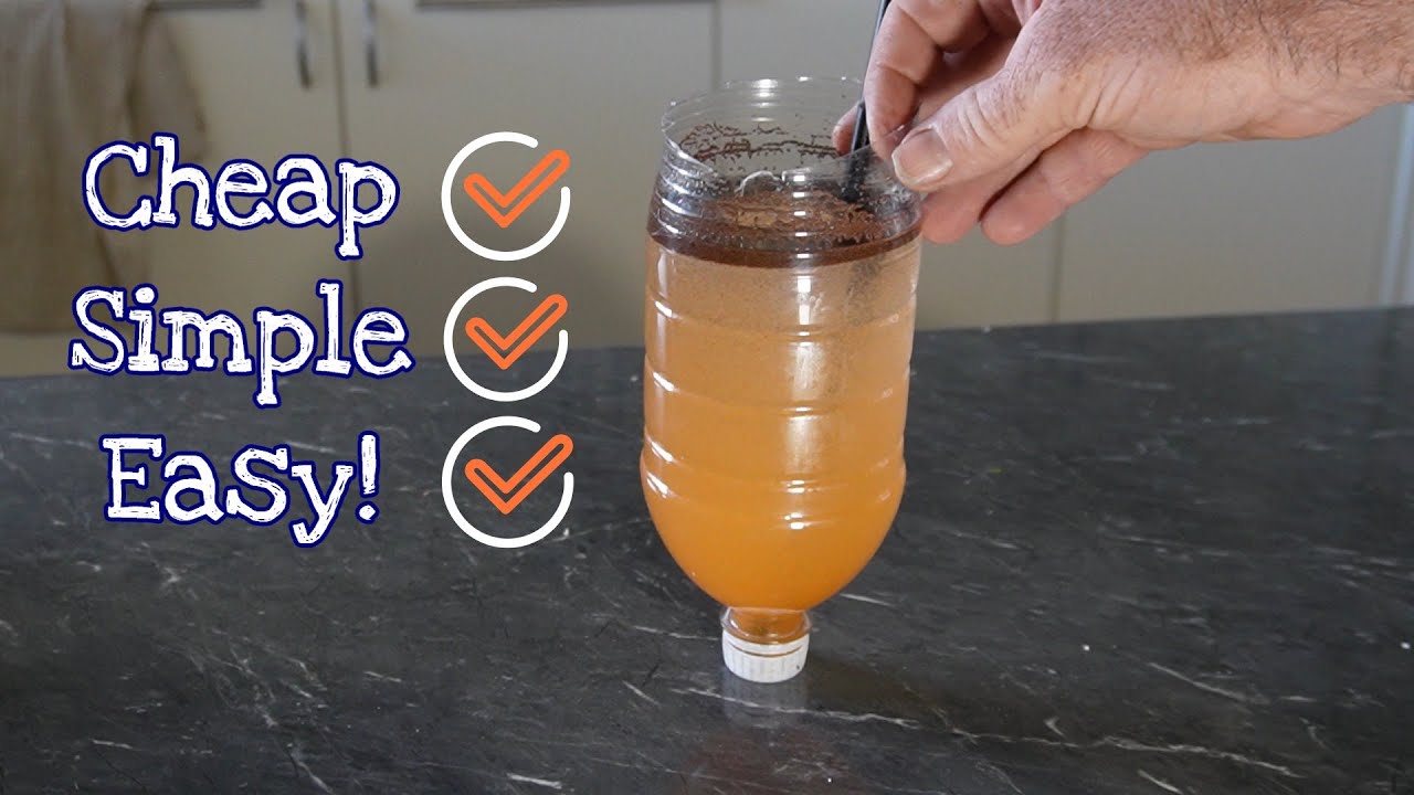 How to Hatch Brine Shrimp In A Bottle! Beginner Questions Answered.