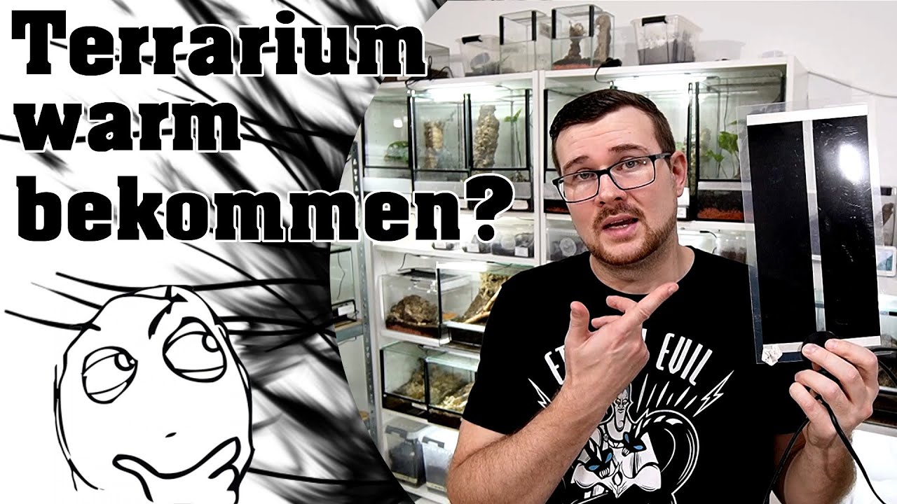 Der Winter kommt! - Wie halte ich meine Terrarien warm?