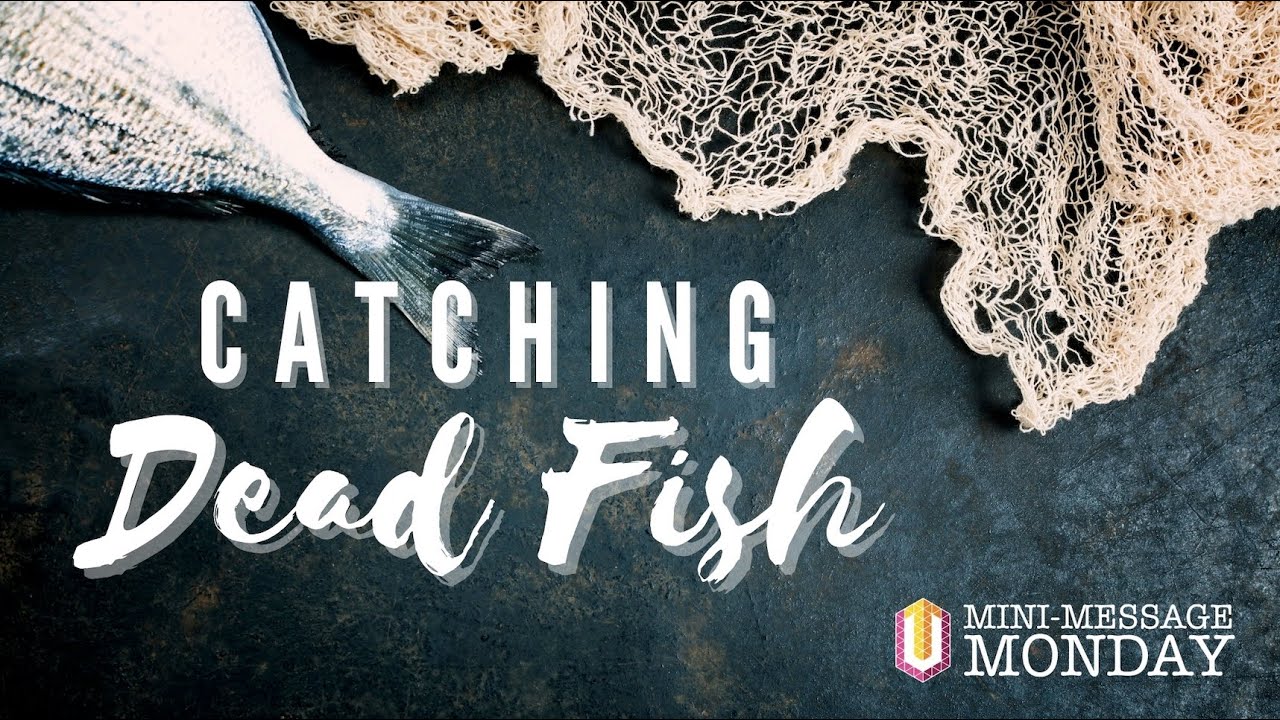 Mini-Message Monday: Catching Dead Fish