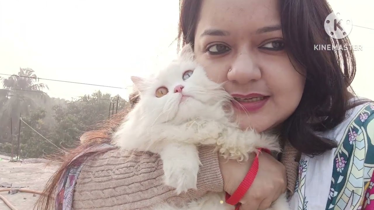বিড়াল নিয়ে ছাদের রোদ পোহাতে আসলাম 