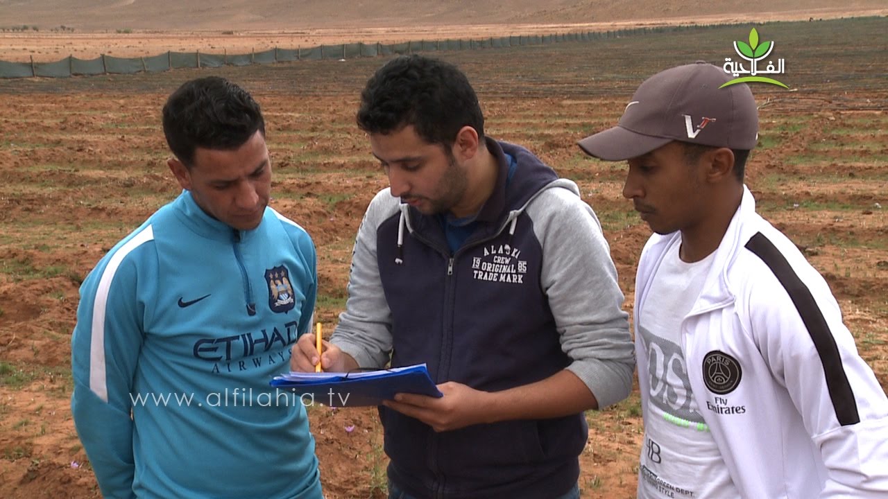 المركز الجهوي للبحث الزراعي بآكادير.. خطوات مهمة من أجل تنمية وتطوير سلسلة الزعفران