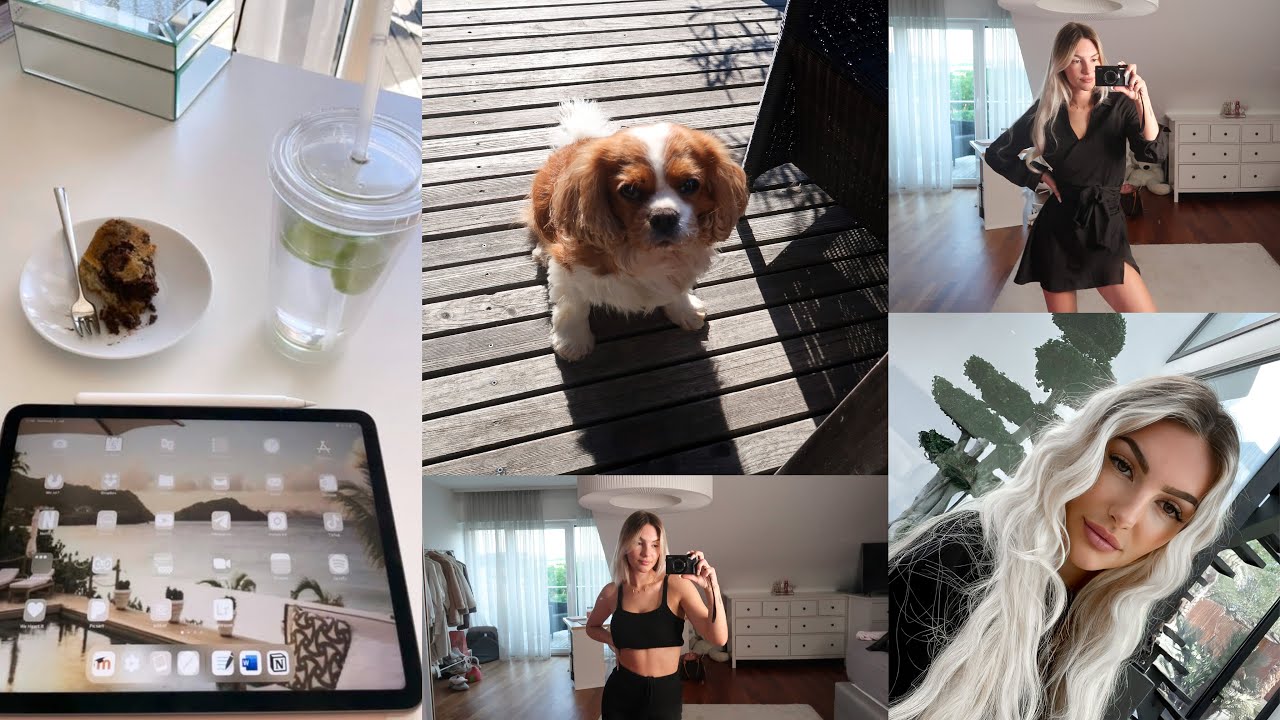 Lifeupdate + mini Shein Haul 🐶
