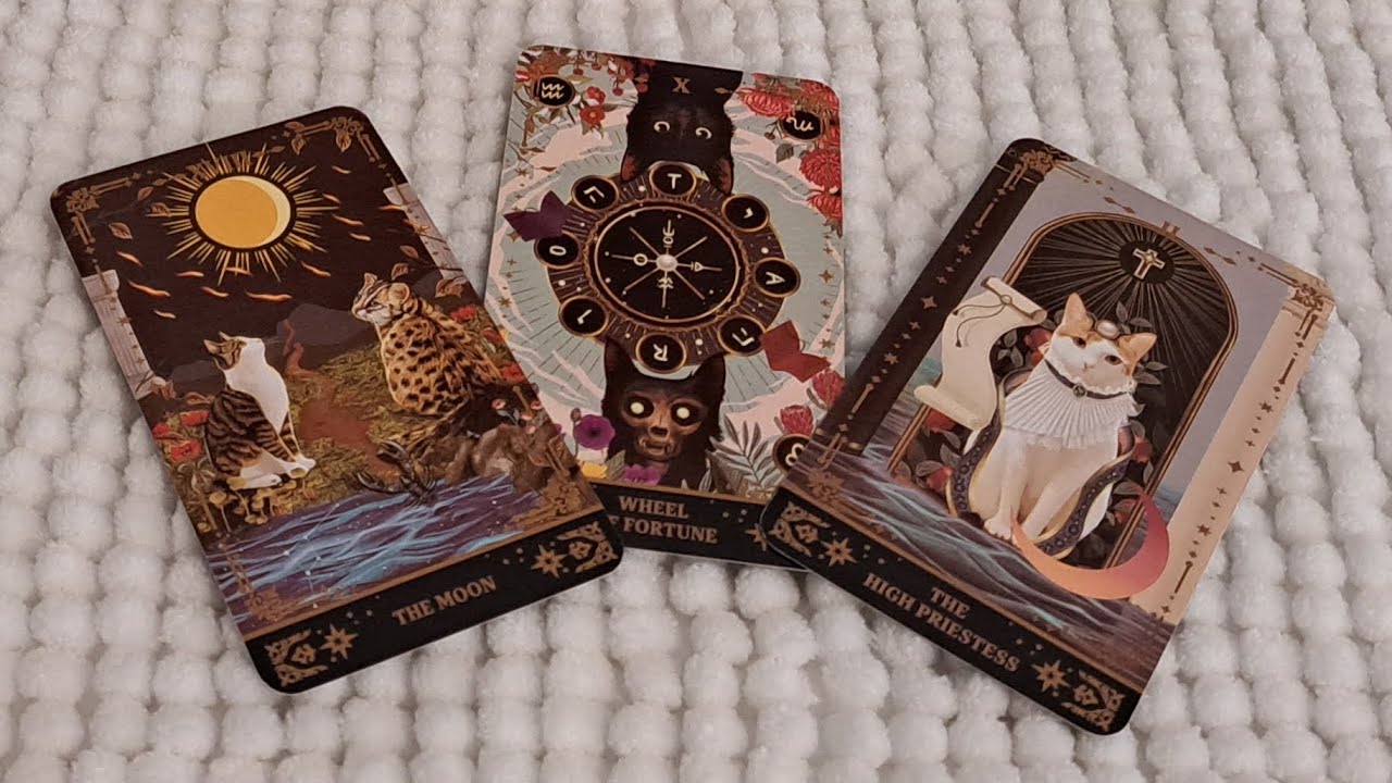 CUIDADO,TE INTENTO HACER BRUJERÍA Y TU ANGEL LE DIO UNA PALIZA, TIENE MIEDO DE TI #viralvideo #tarot
