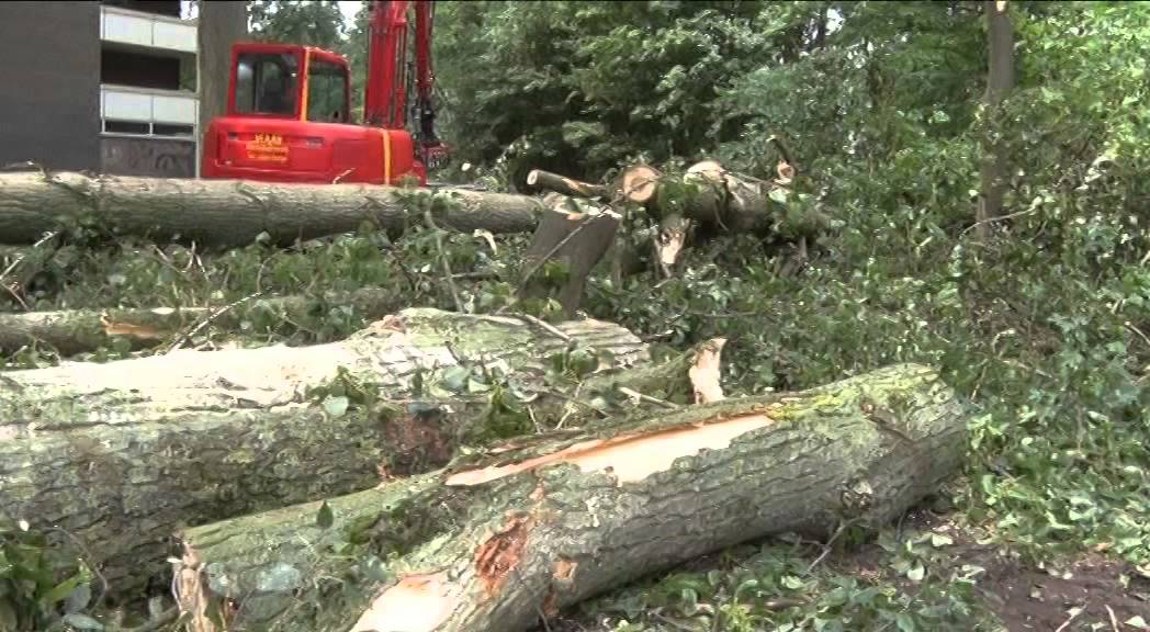 Kassa rinkelt bij boomverzorgers na zomerstorm