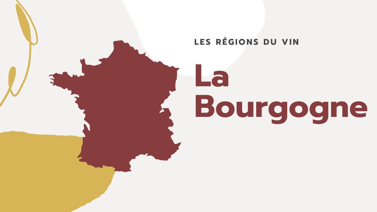 LES REGIONS DU VIN : La Bourgogne