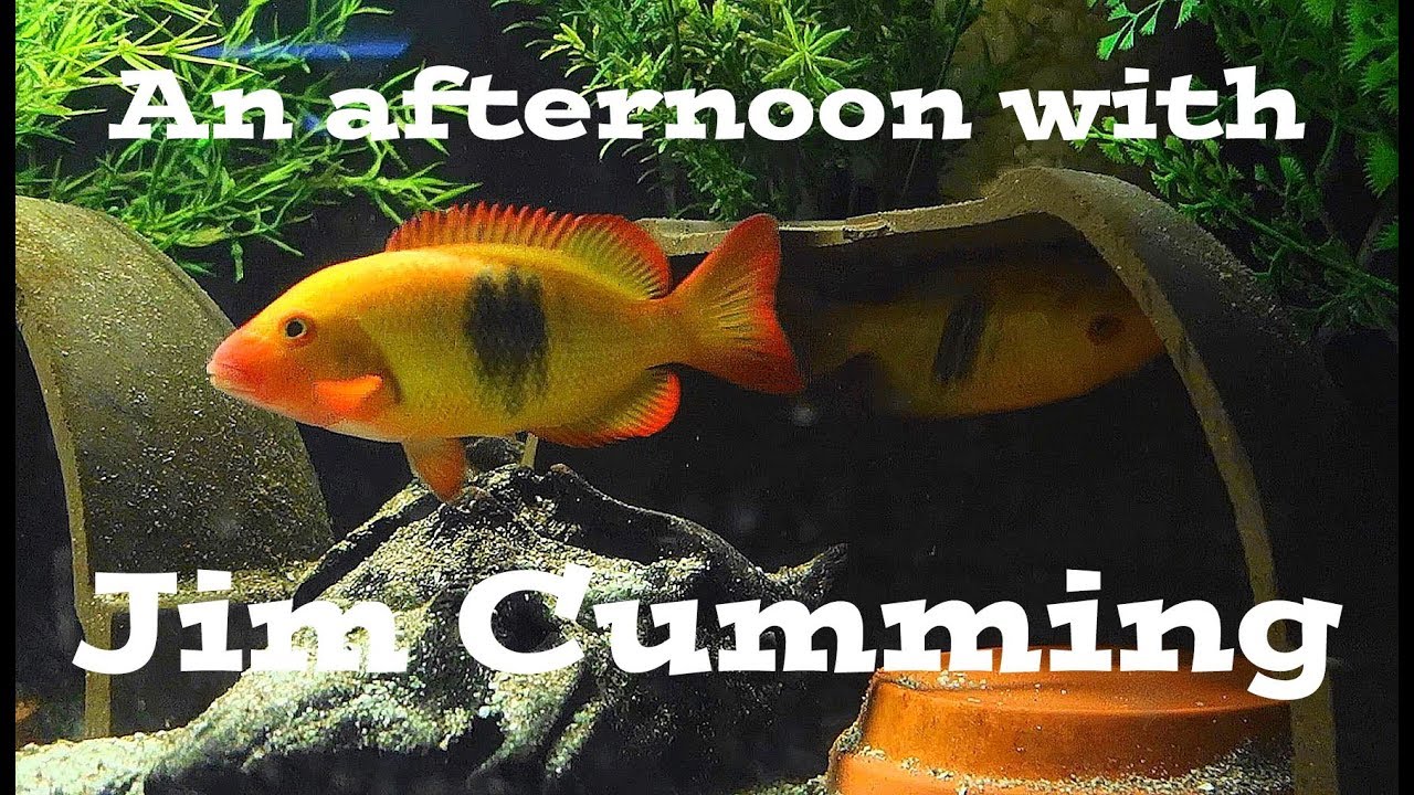 Aquatic Masters Series Episode 9: An afternoon with the legendary Jim Cumming