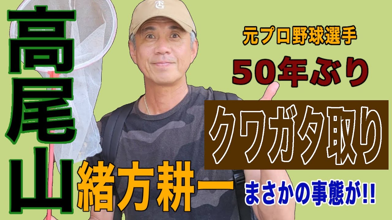【高尾山】緒方耕一、クワガタ取りに挑戦！成果は…！？