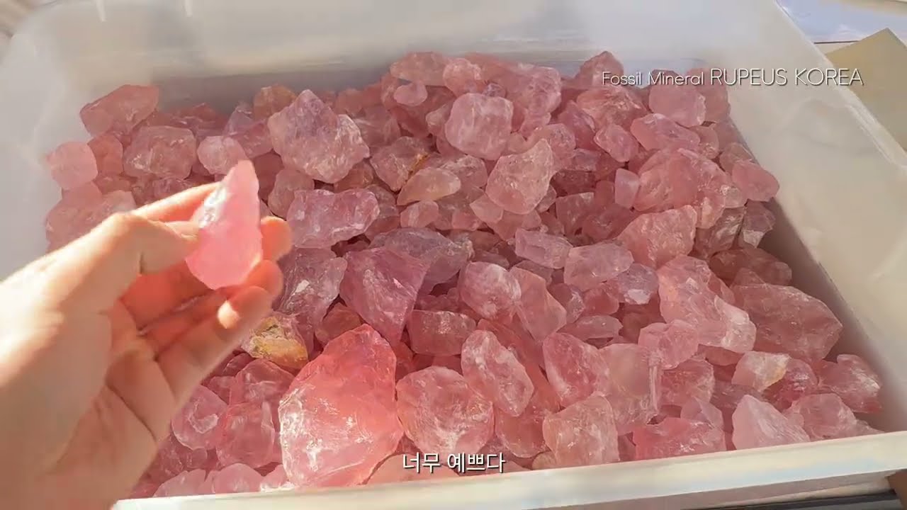미국에서 원석을 골라보자! 2026 미국 투산 미네랄쇼 (2) Tucson Gem Show