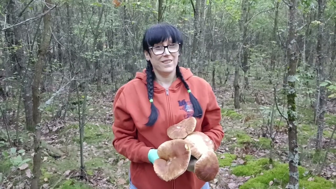 Ponad 450 prawdziwków!!!