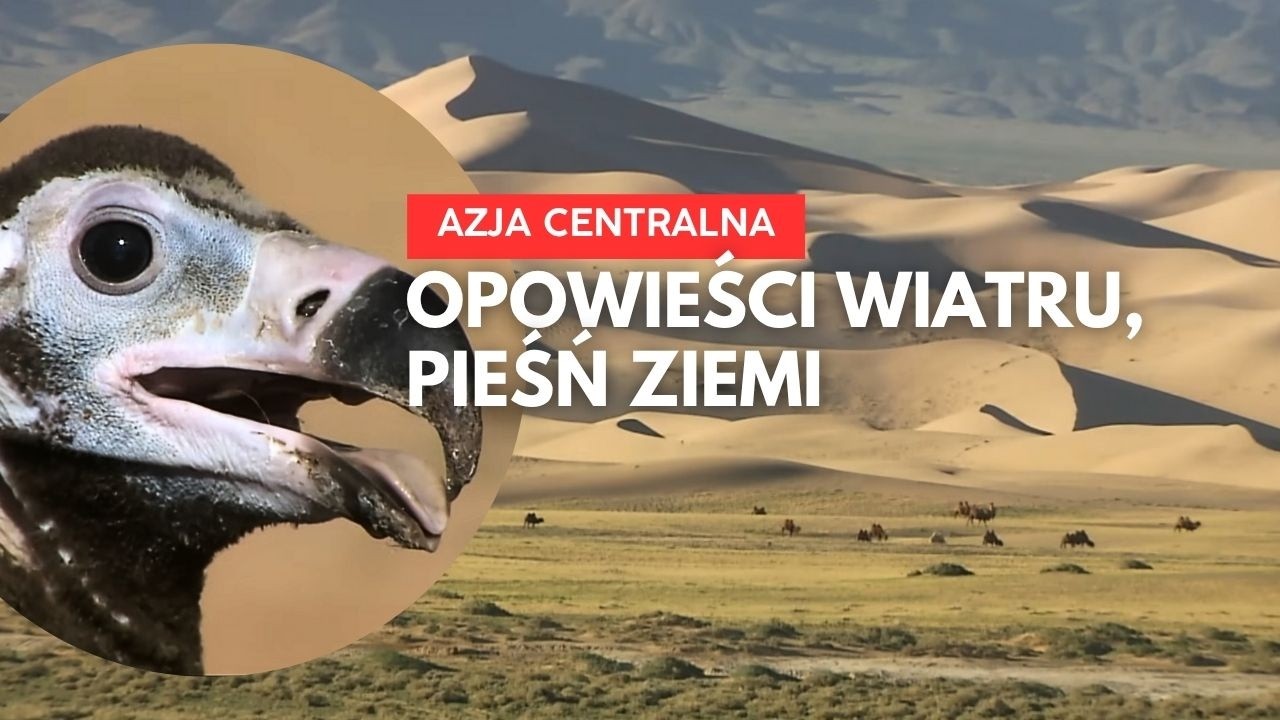 Duch Dzikiej Przyrody: Mongolia, Pustynia Gobi i Step Dornod | Film Dokumentalny PL