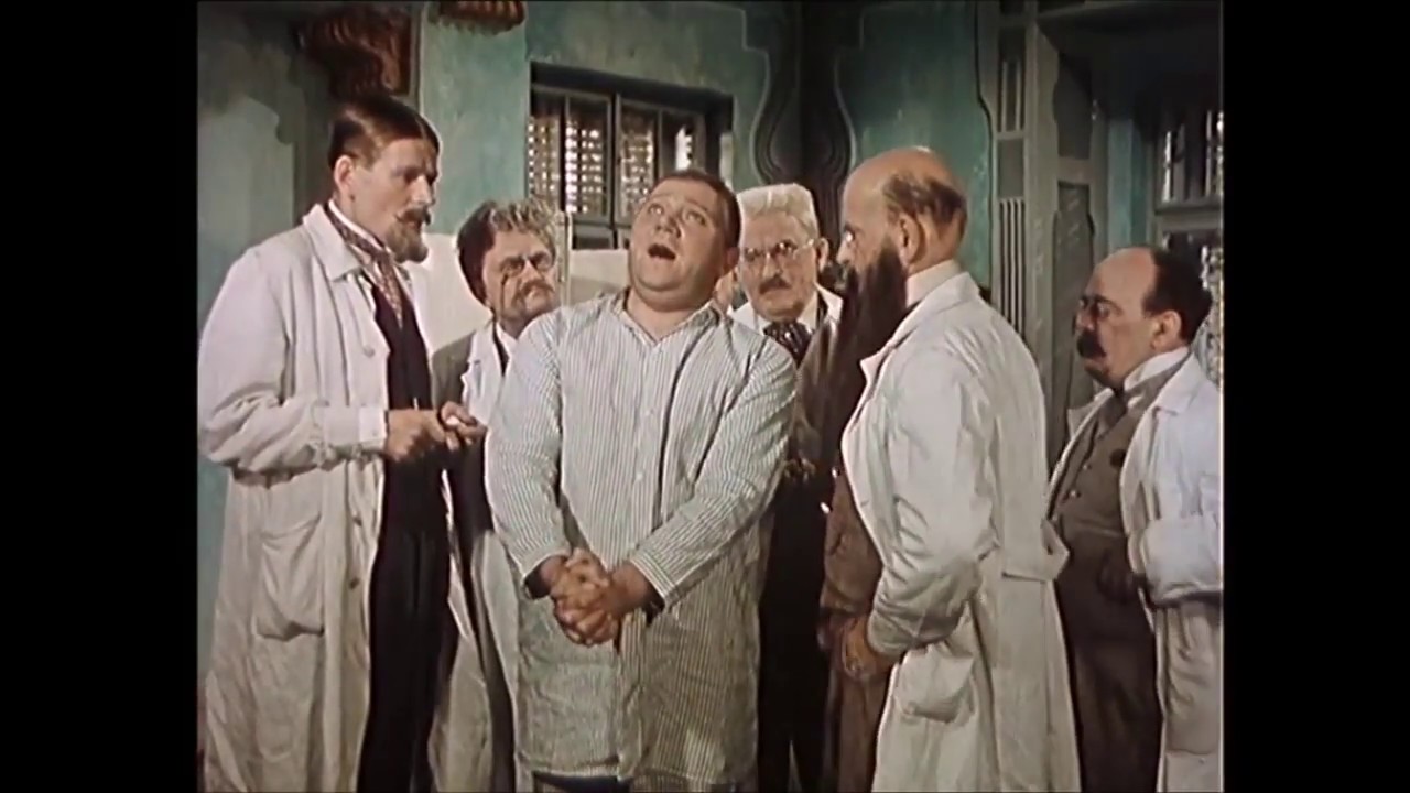 Dobrý voják Švejk - Vyšetření
