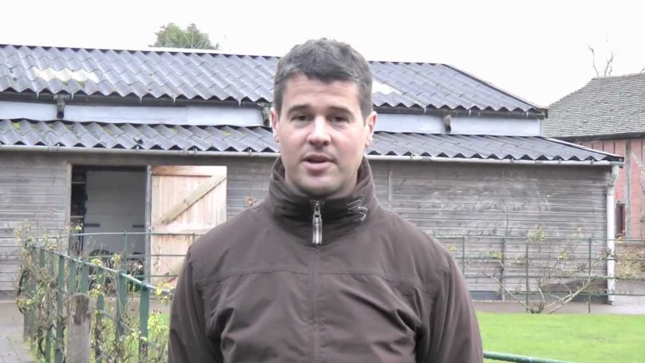 Daniel Timson | Boost your dressage score- Part 1 | HorseandRider UK