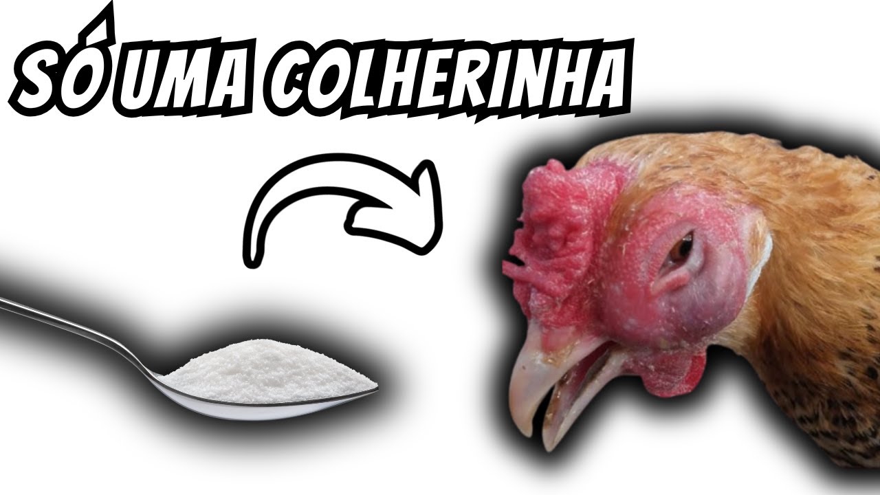 BASTA UMA COLHERINHA E ADEUS DOEN&Ccedil;AS