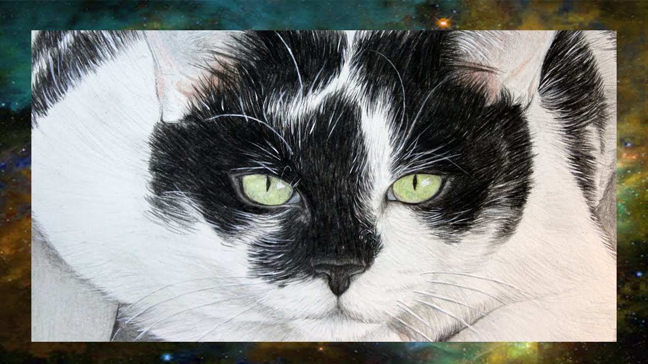 Tutorial - Fell einer Katze I Semmy´s Art