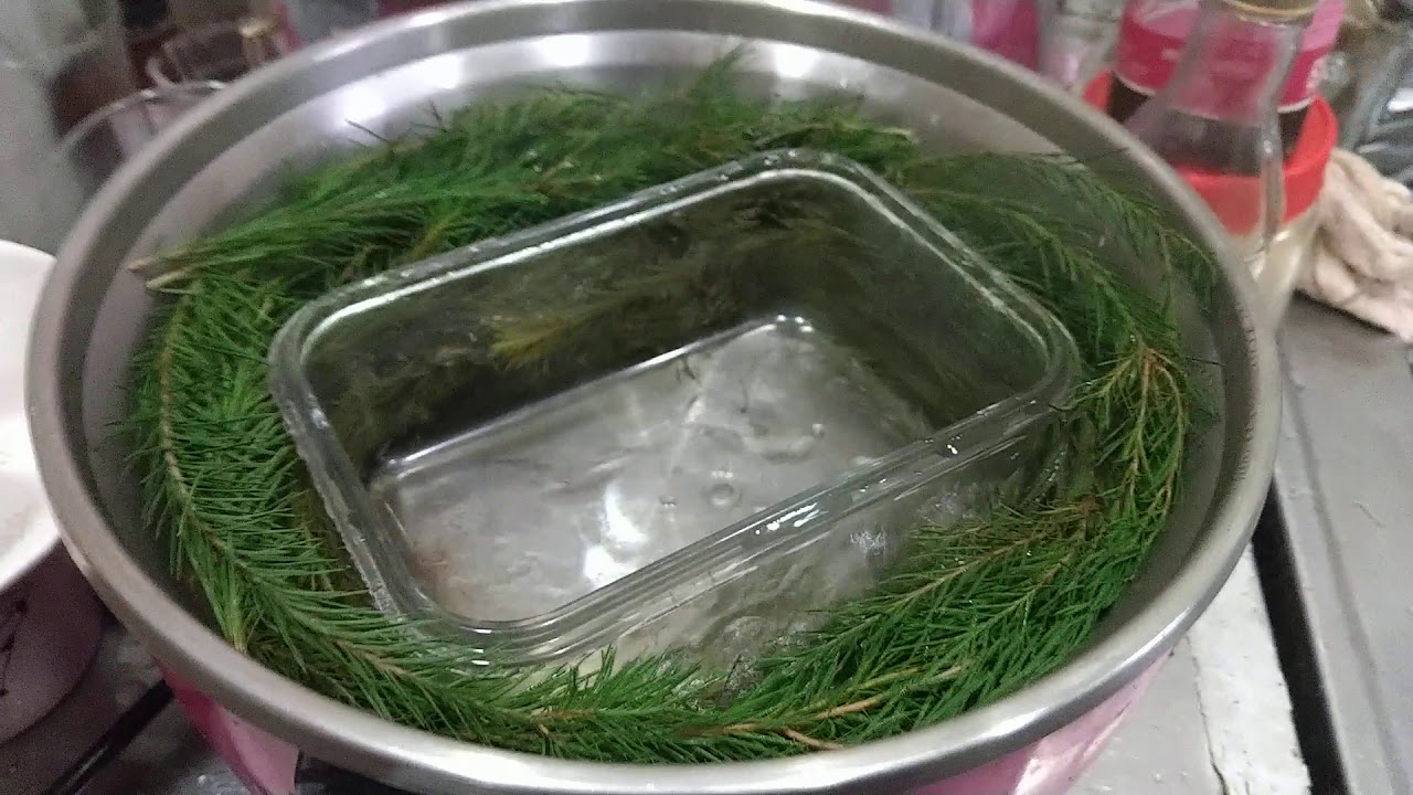 #澳洲茶樹純露DlY(家庭版)#天然防疫抗菌植物#純露#澳洲茶樹(DIY&趴趴走揚老師)