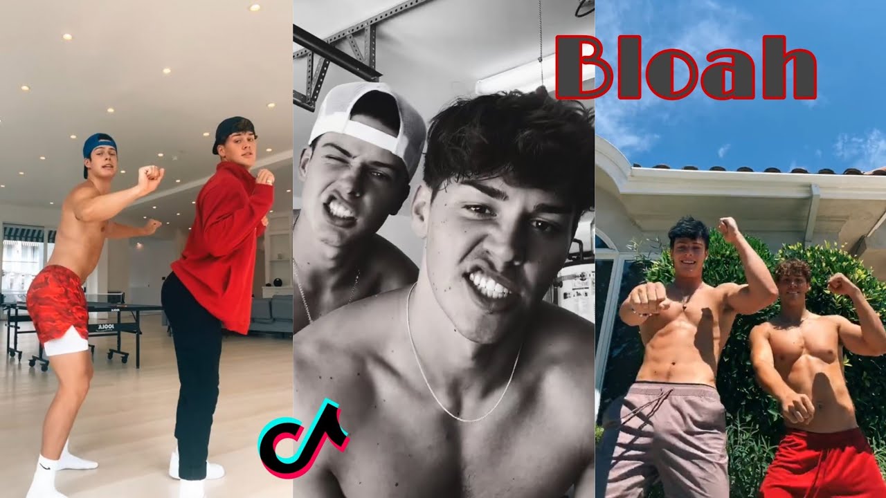 Blake Gray and Noah Beck Tik Tok Compilation 2020 (Bloah)💞