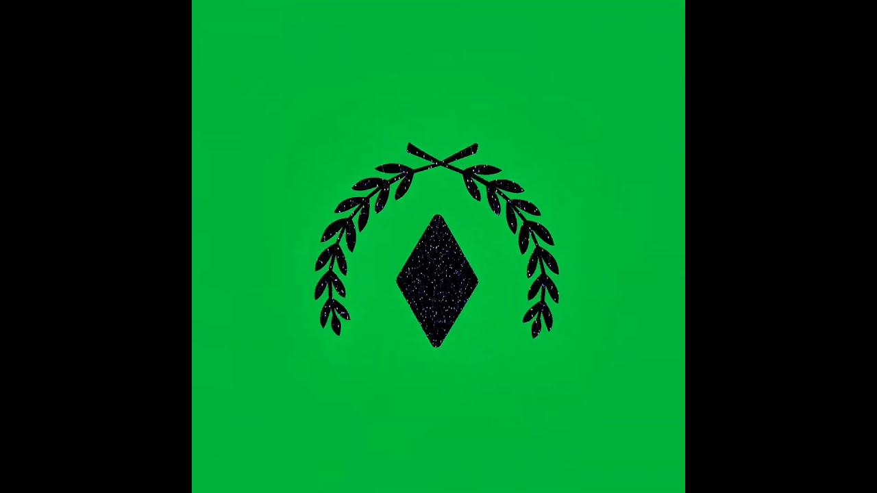 green screen overlays #caredit #greenscreen #overlay