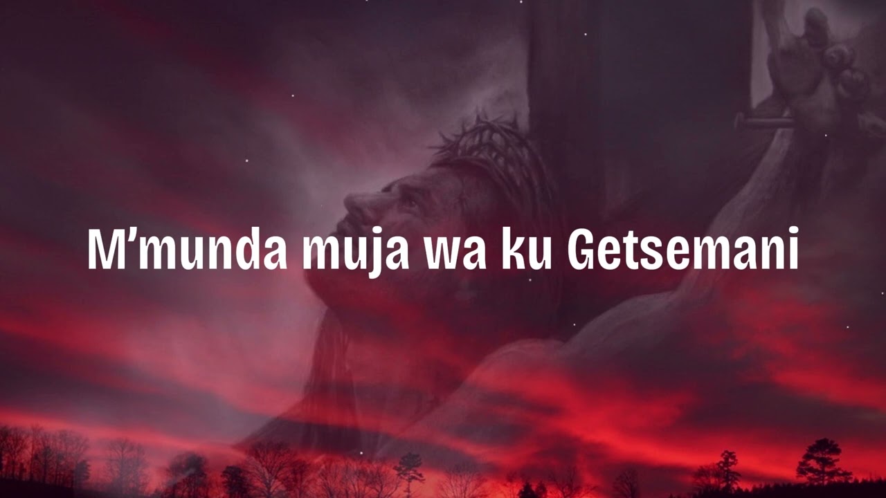 TIDZAKUMVERANI Lyric Video