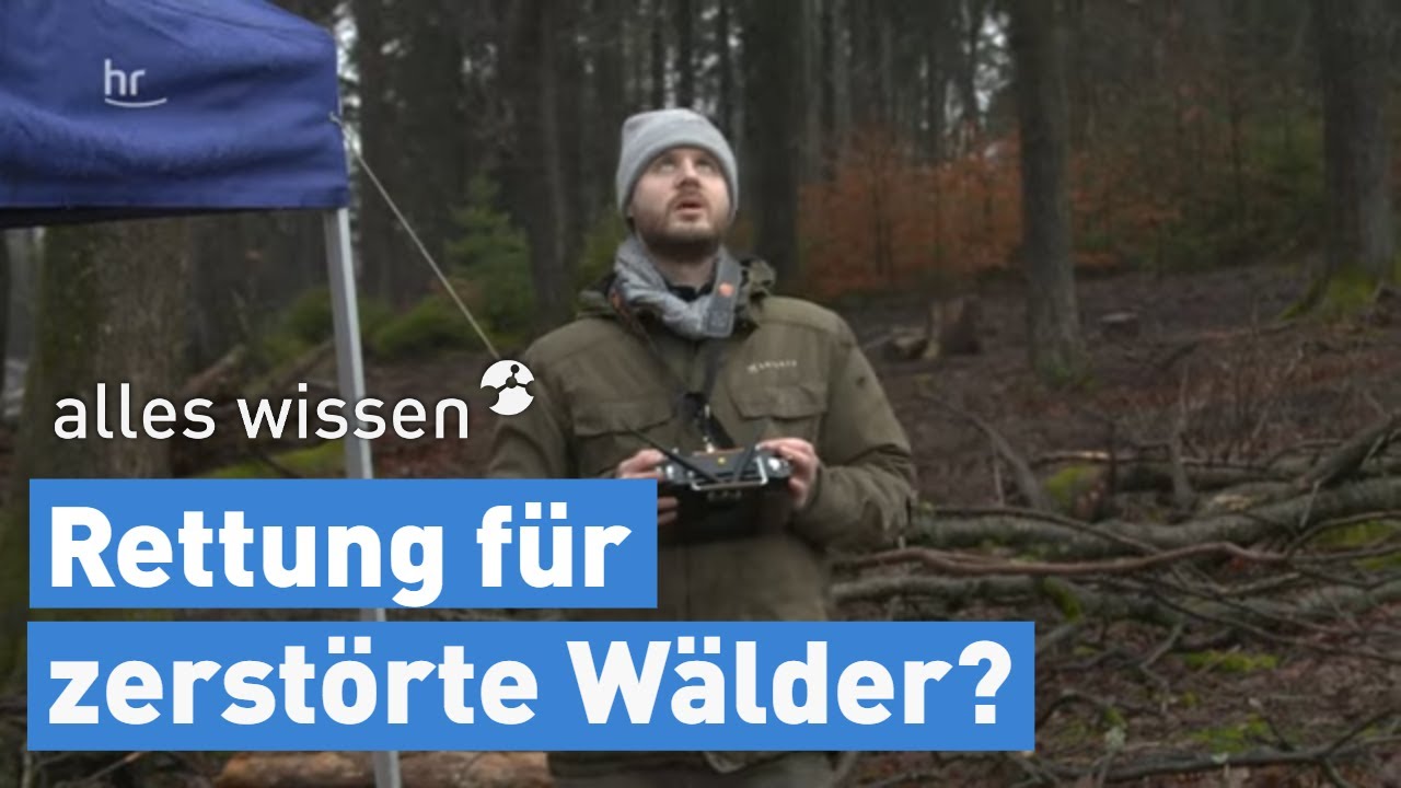 Bäume pflanzen per Drohne - Wälder aus der Luft | alles wissen