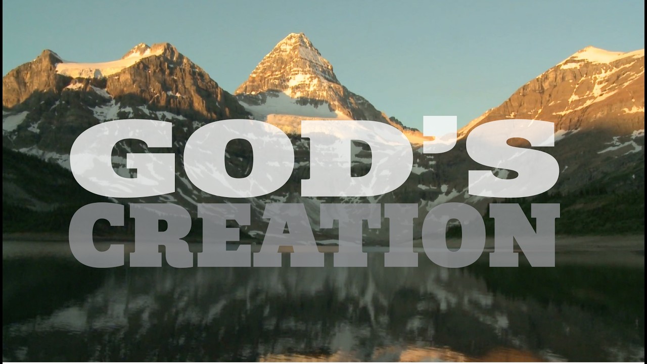 Gods creation Psalms 19:1 - Psalms 96:11-12