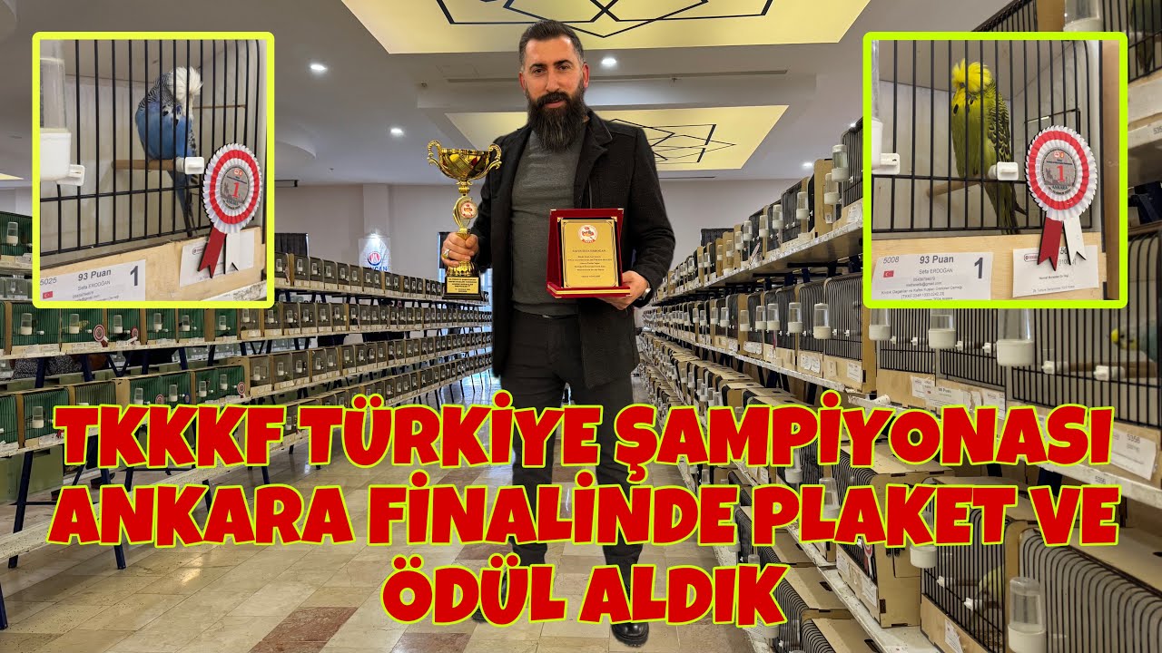 TKKKF Ankara T&uuml;rkiye Şampiyonası Final Yarışmasında 8 Adet Kuşumuz Derece Aldı 🏆🎖️🥇