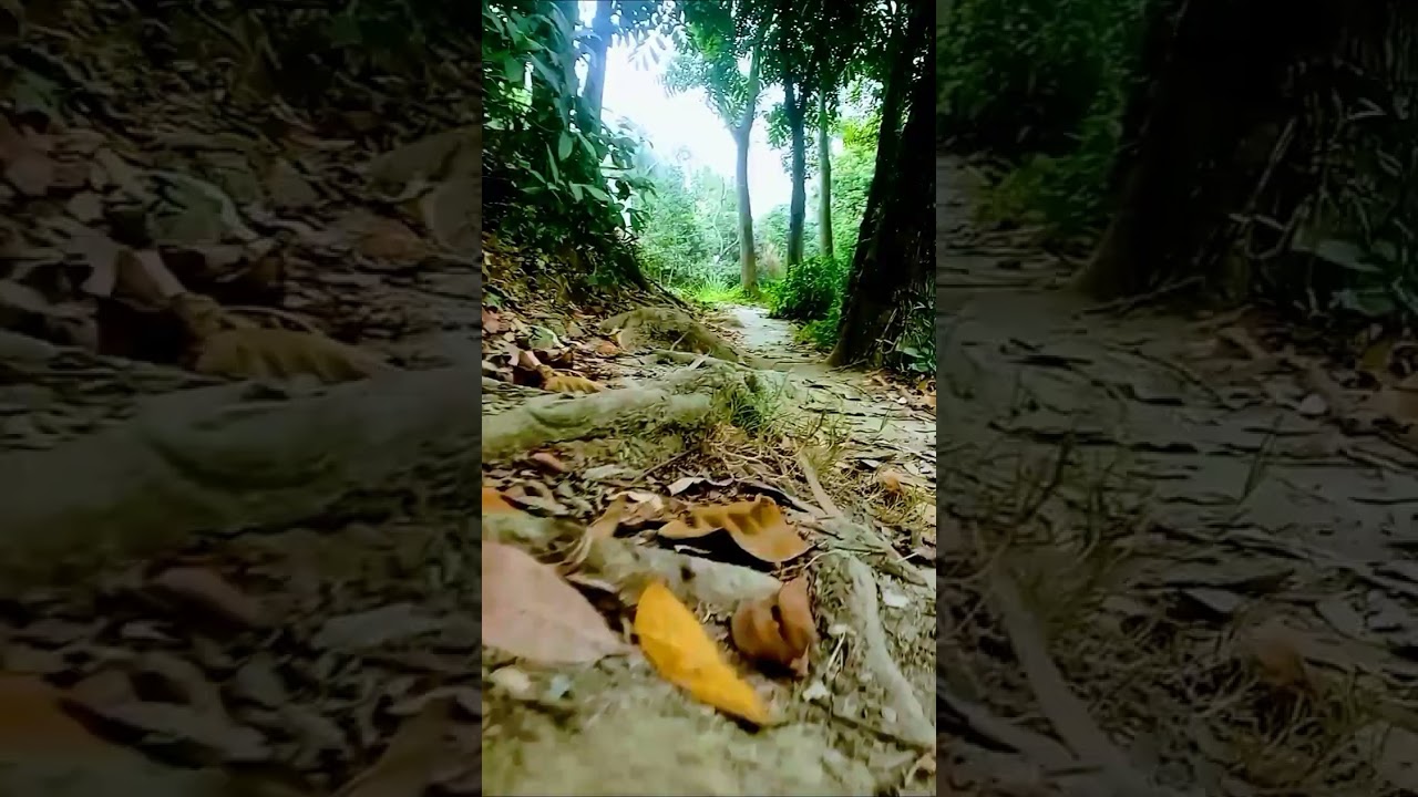 satisfying walking sound of barefoot