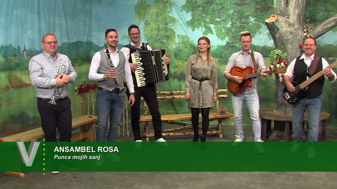 Ansambel Rosa - Punca mojih sanj