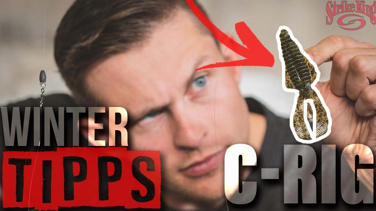 Raubfischangeln im Winter | Finesse Tipps | #1 Carolina Ring