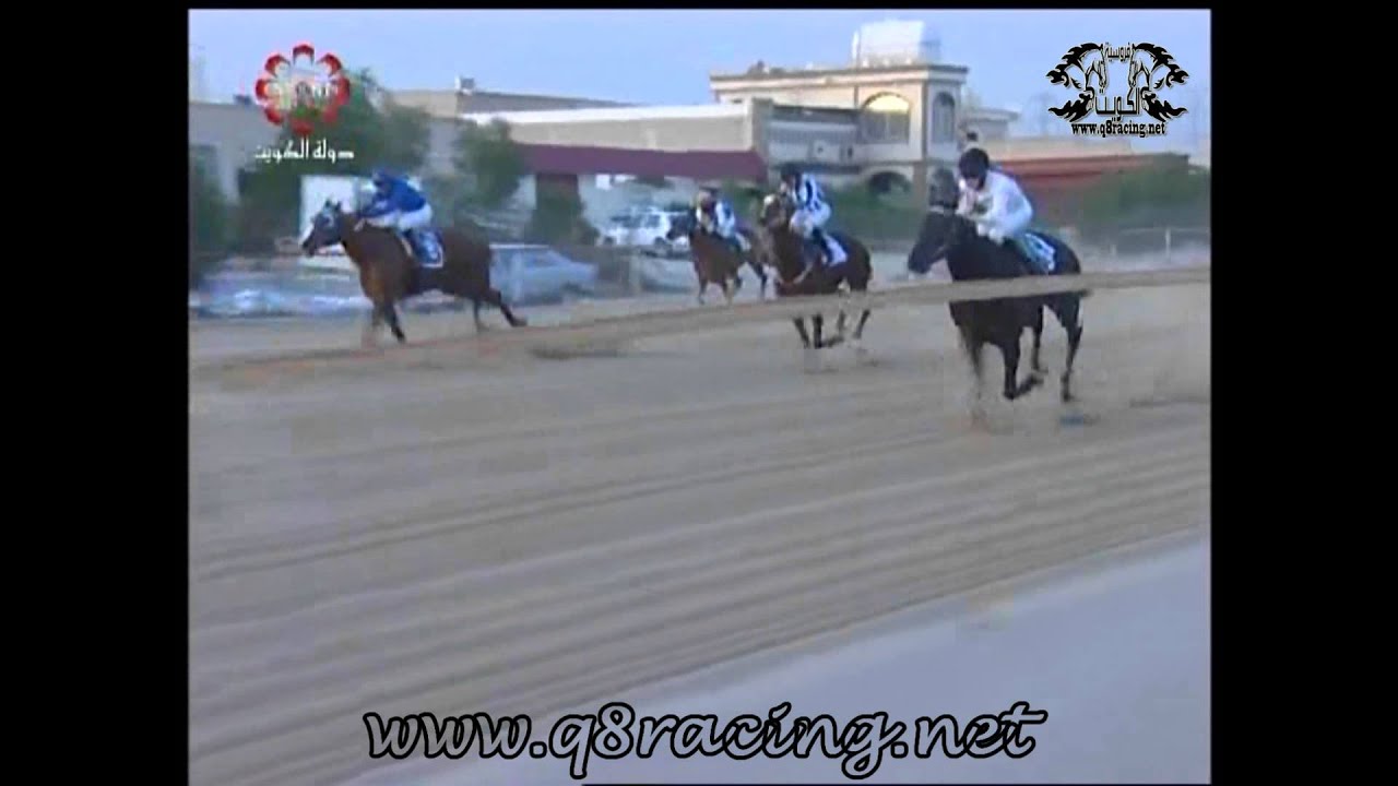 الجواد رجوان