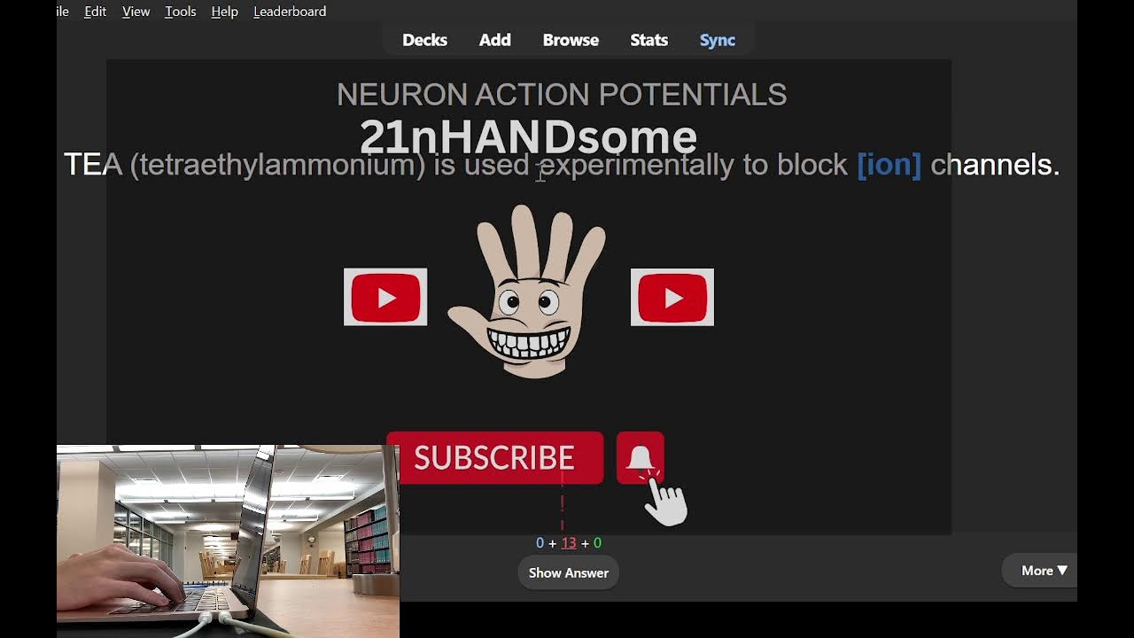 Let's Study & Anki Together! (December 7, 2024)