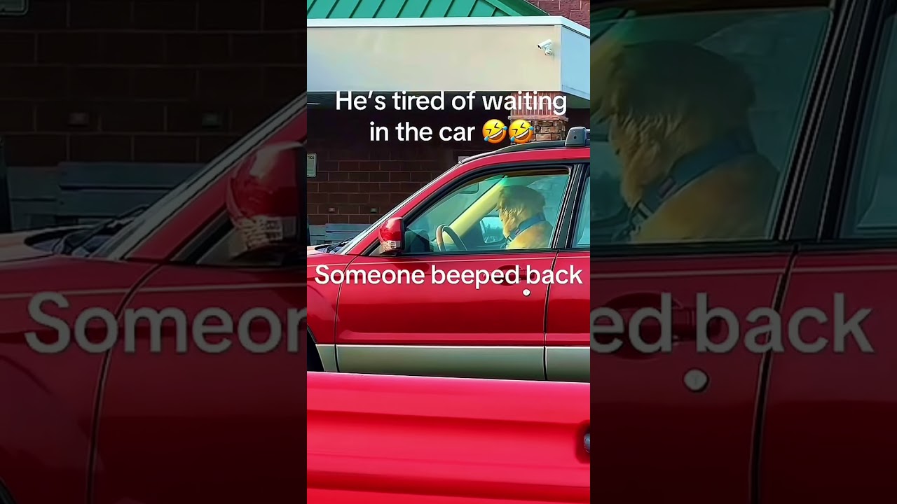 Only in America… This Pet Is WILD 🤣🇺🇸 