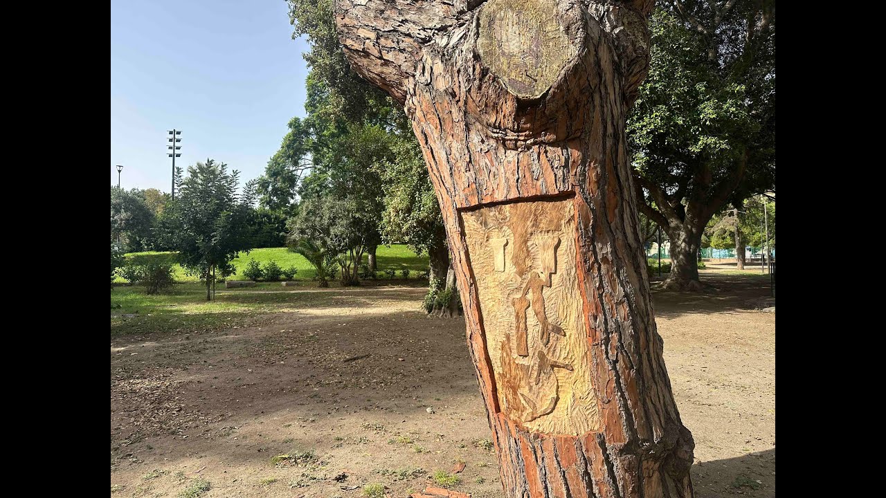 Nuova vita per i tronchi recisi. Colapesce scolpito su un albero a Villa Dante