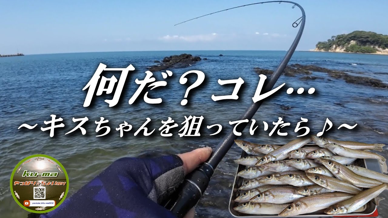 【キス釣り】何だコレ…⁉️ちょい投げ☆キス狙いの様子🎵