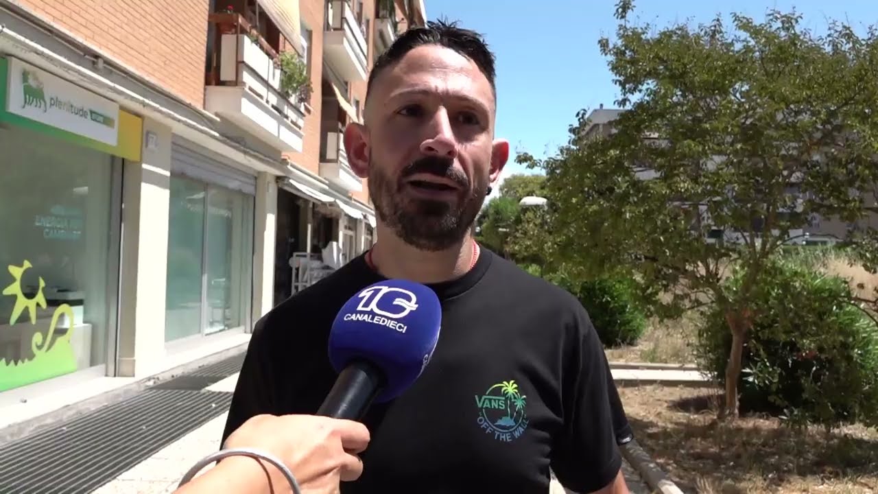 Acilia, un terreno incolto è diventato un covo di animali e malintenzionati