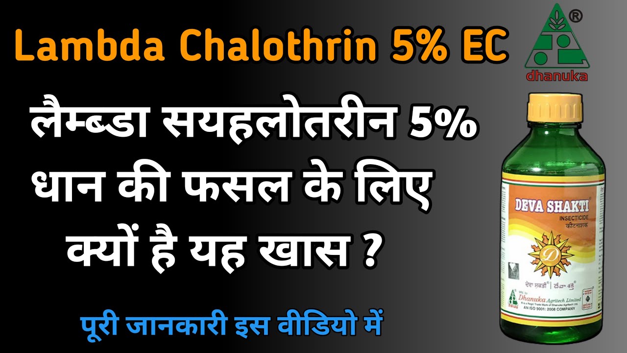 Lambda cyhalothrin 5% EC Insecticide | धान में पत्ता लपेट, तना छेदक, माहू, थ्रिप्स, सफ़ेद मक्खी कीट