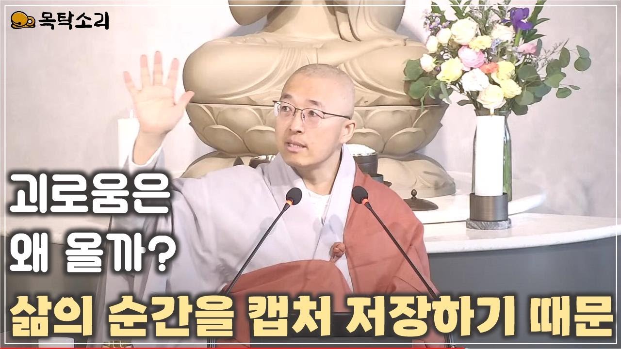 [돈오81] 괴로움은 왜 올까? 삶의 순간을 캡처 저장 불러오기에서 괴로움은 온다