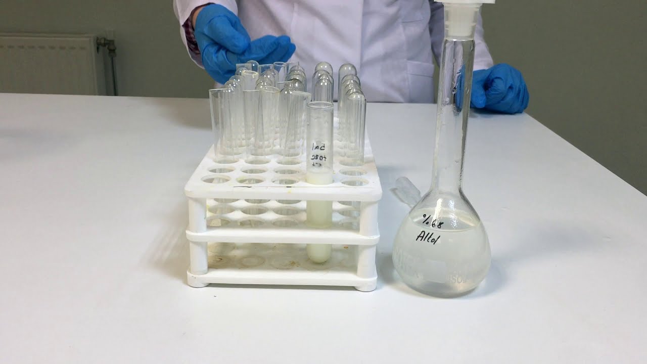 Alkol Testi