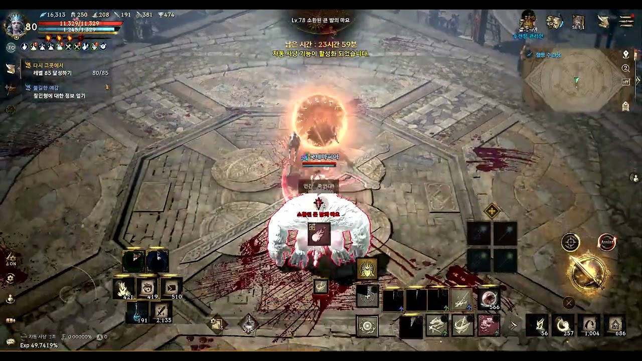 큰발의 마요 소환 [리니지W]