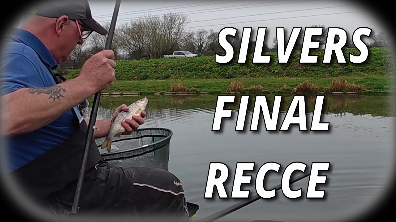 Матч Acorn Silvers @ Matchfishinguk