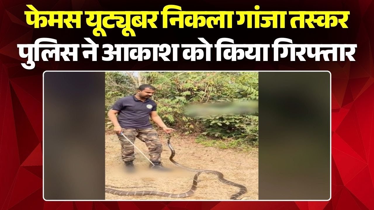 Akash Jadhav Arrested : Famous Youtuber निकला गांजा तस्कर | Police ने आकाश को किया गिरफ्तार