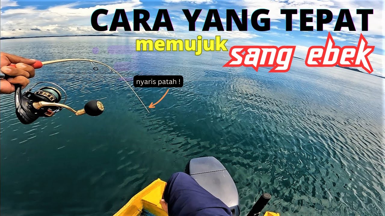 CARA YANG TEPAT MENJINAKKAN SANG EBEK ! | Daiwa BG SW 2023