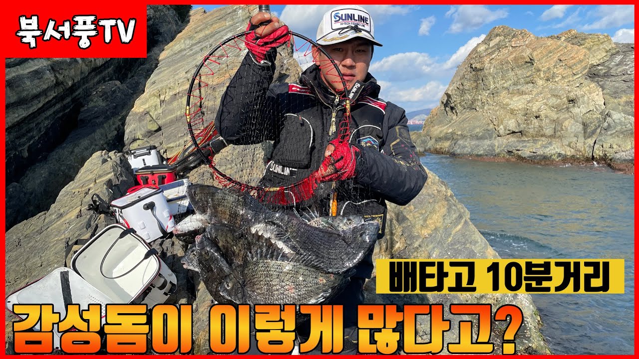 여기는 가거도가 아닌 가덕도입니다! 부산 감성돔 마릿수 낚시
