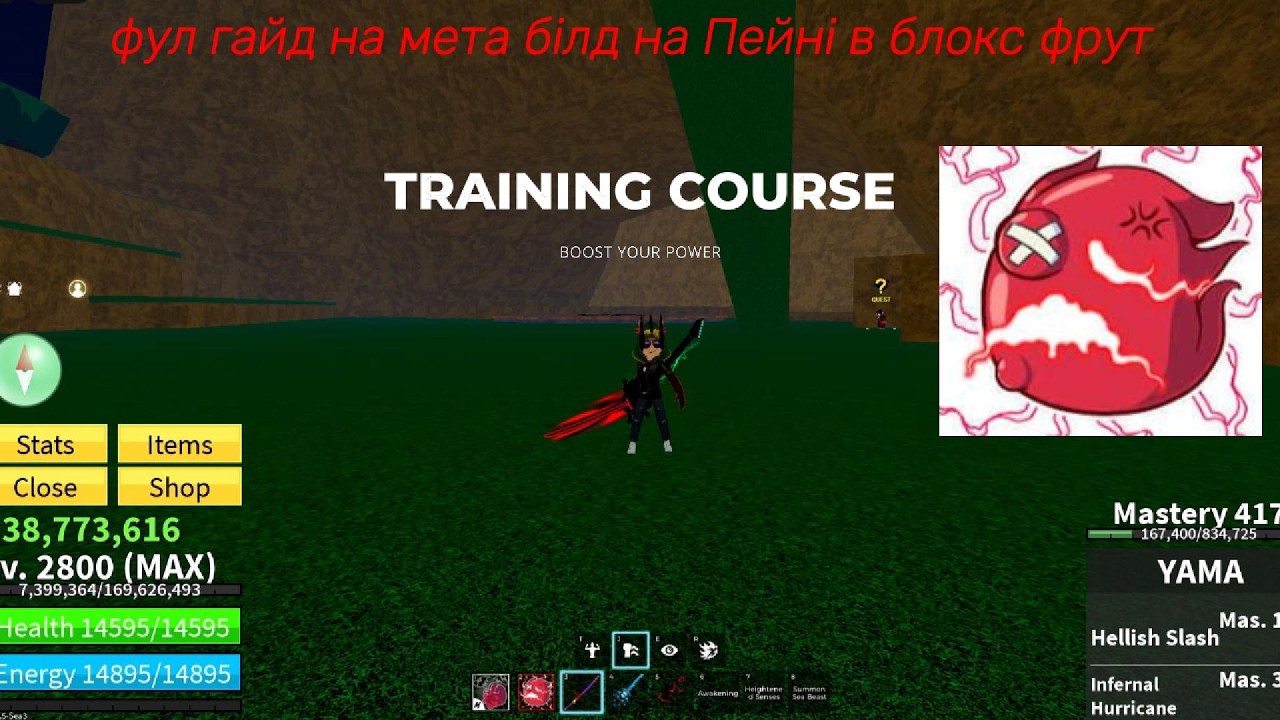 Фул гайд на мета білд на Пейні в блокс фрут | blox fruit