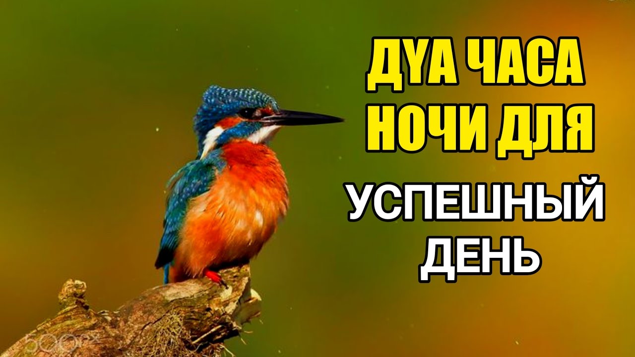 💝🔑 ДУА УТРОМ — НАЧНИ ДЕНЬ С АЛЛАХОМ 🤲✨💯