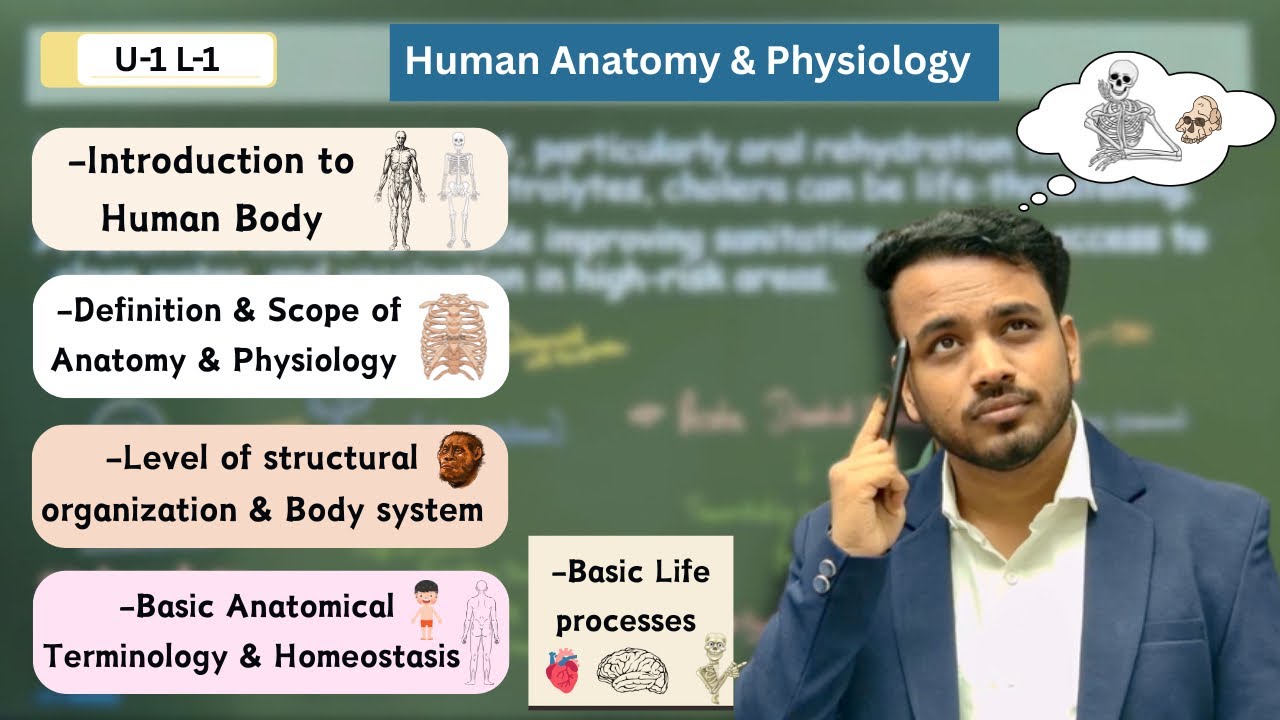 Introduction to Human body | Human anatomy & physiology | Basic anatomical terminology | Homeostasis
