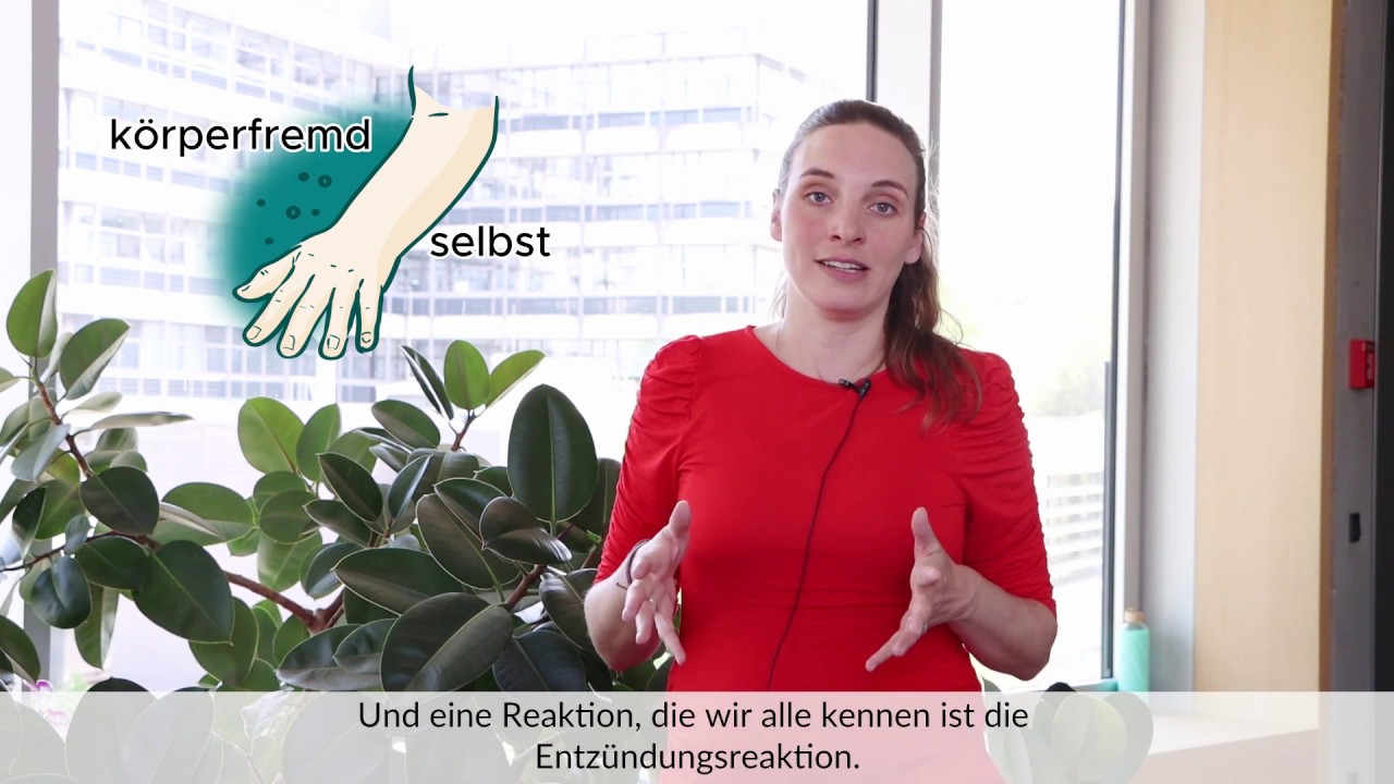 CIBSS Basics: Was ist eine Entzündungsreaktion? Jun.-Prof. Dr. Katrin Kierdorf